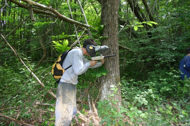 Paintball en foret.JPG